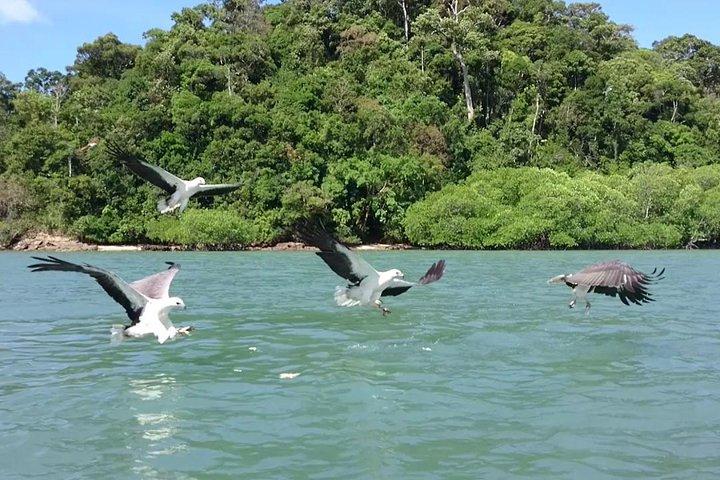 Langkawi Island Hopping Experience mit privatem Boot mit Pickup