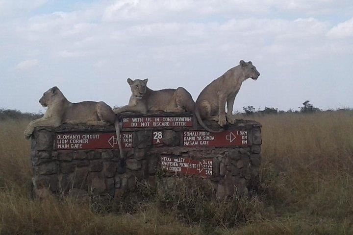 Group Joining-Half Day Nairobi National park
