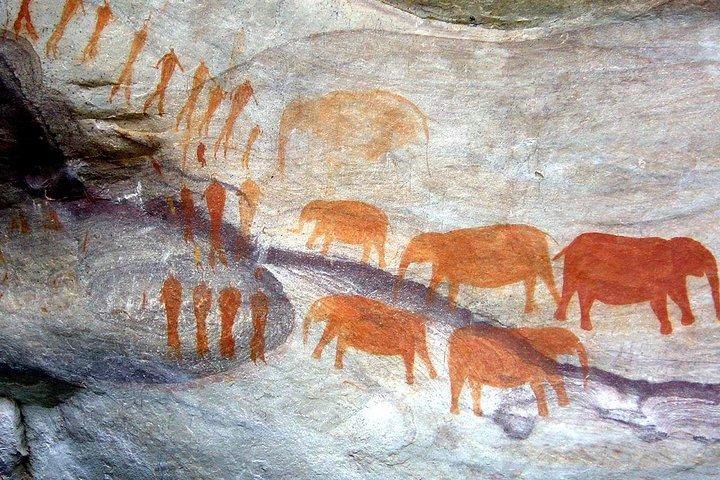Visite de l'art rupestre du château des géants du Drakensberg et du site de capture de Mandela au départ de Durban