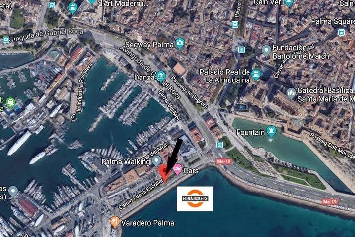 Tour completo di Maiorca in treno, tram e battello
