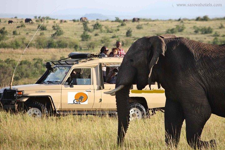 Safari de 9 jours sur le meilleur du Kenya et de la Tanzanie en jeep 4x4 Land Cruiser