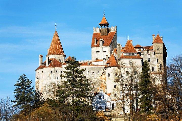 Bran Castle, Peles Castle och Brasov City - Privat rundtur från Bukarest