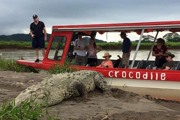 Escursione a terra Puntarenas: Rainforest Skywalk & Tarcoles River