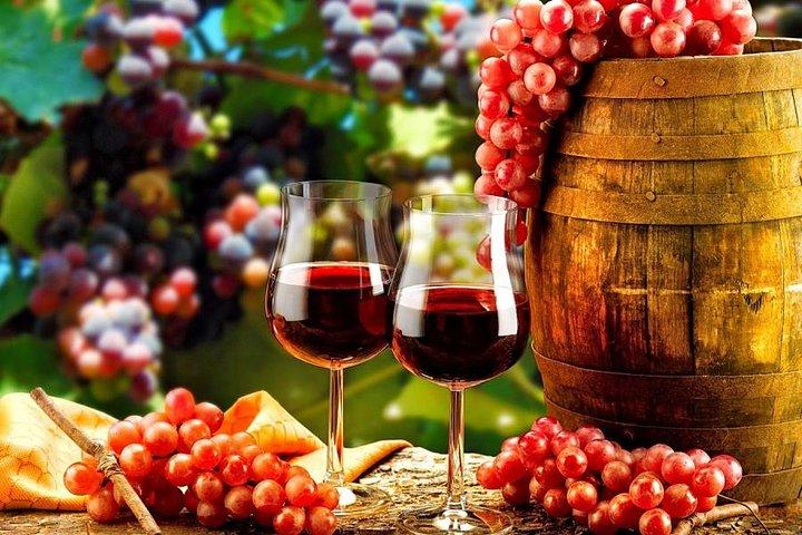 Douro Valley Private Wine Tour From Lisbon