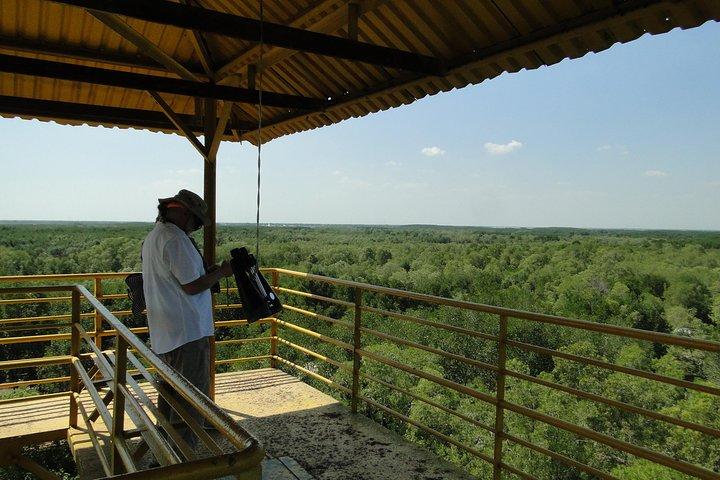 Can Gio Mangrove Eco und Wildlife Discovery Tour