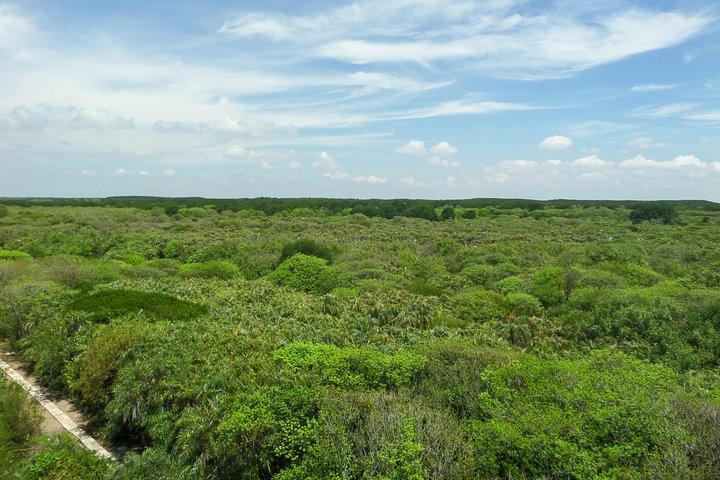 Can Gio Mangrove Eco und Wildlife Discovery Tour