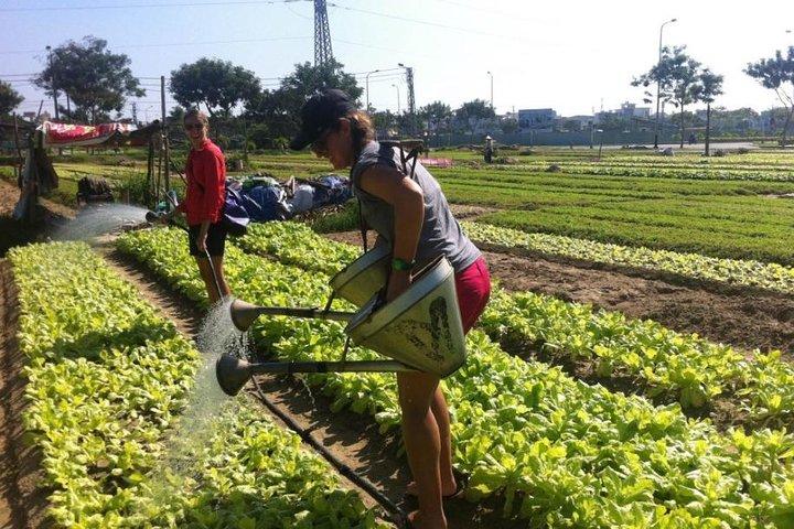 Kochkurs mit Farm Trip und Kräutermassage