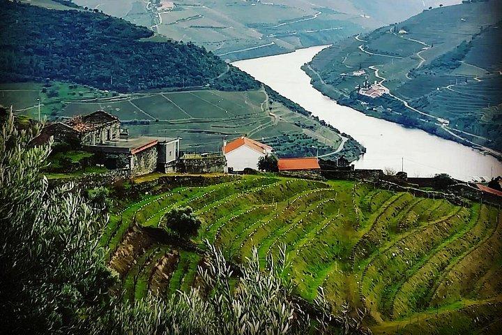 Tour Privado de Vinho e Comida do Vale do Douro a partir do Porto