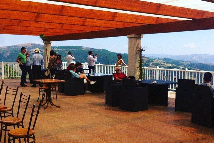 Tour Privado de Vinho e Comida do Vale do Douro a partir do Porto