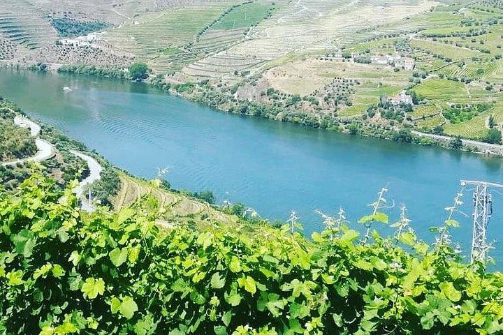 Tour Privado de Vinho e Comida do Vale do Douro a partir do Porto