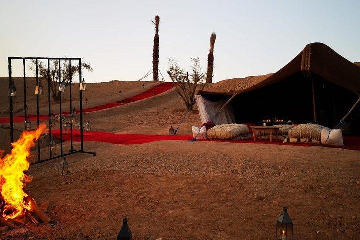 Giro in cammello e cena nel deserto di Agafay