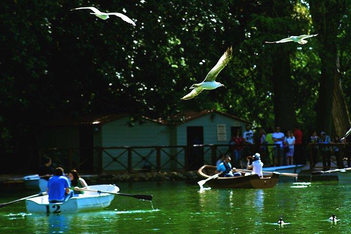 Tour fotográfico único y taller en las zonas de Villa Borghese y Posh
