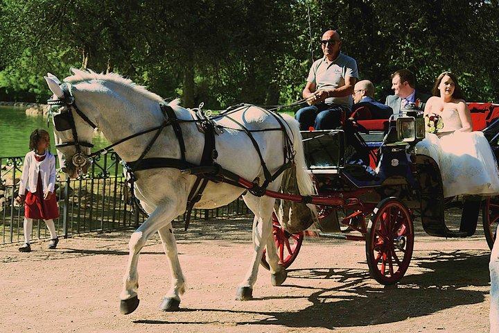 Tour fotográfico único y taller en las zonas de Villa Borghese y Posh