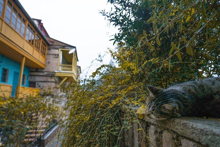 Recorrido a pie clásico por Tiflis