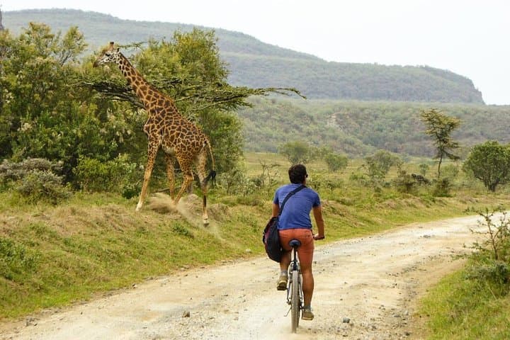 Hell's Gate & Lake Naivasha Small Group Day Tour - Guaranteed Daily Departure