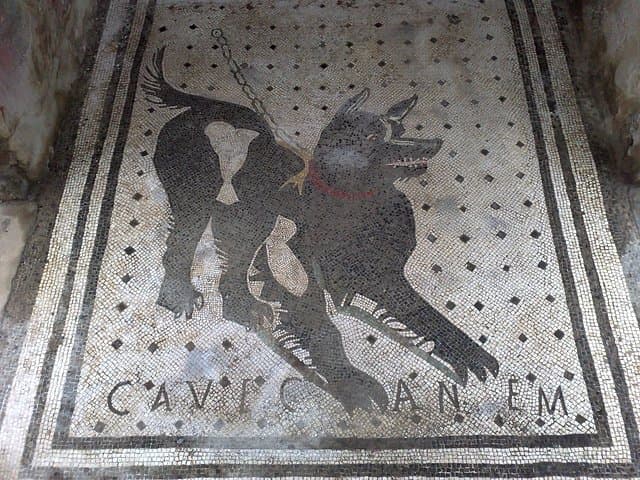 Pompeii Positano and Sorrento shared excursion with Pompeii skip the line entry