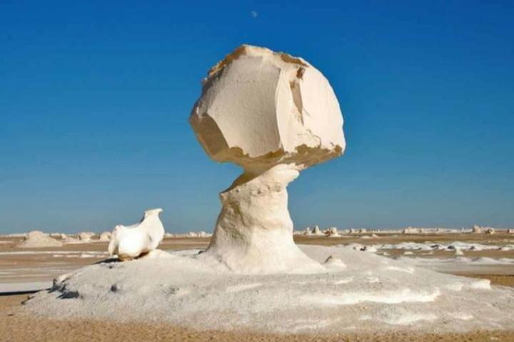 Van Cairo 6-daags pakket naar Fayoum Oasis, White Desert en Bahariya Oasis