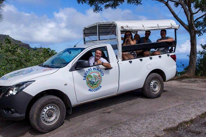 プライベートツアーMoorea 4WD : Magic Mountain Pineapple Road Belvedere