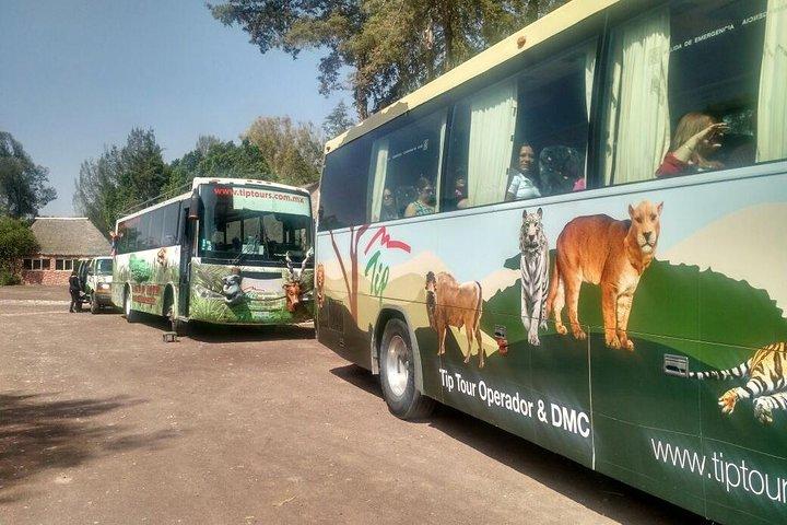 Africam Safari Zoo Eintritt mit Transport