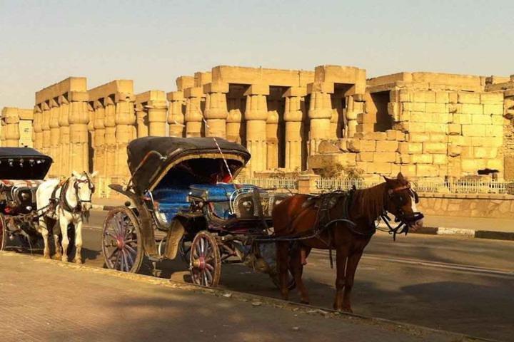 Aswan City Tour per koets