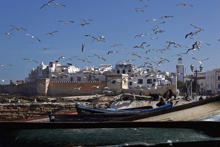 Private transfer from Marrakech to Essaouira