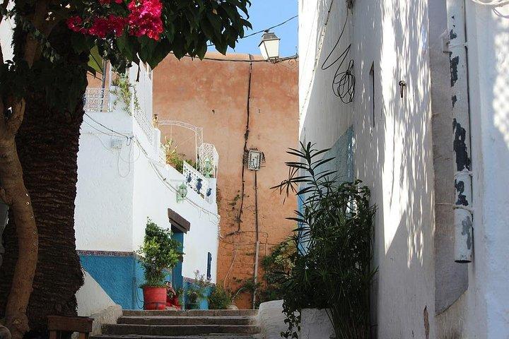 Dagtrip naar Tanger vanuit Sevilla met lunch inbegrepen & lokale Gids