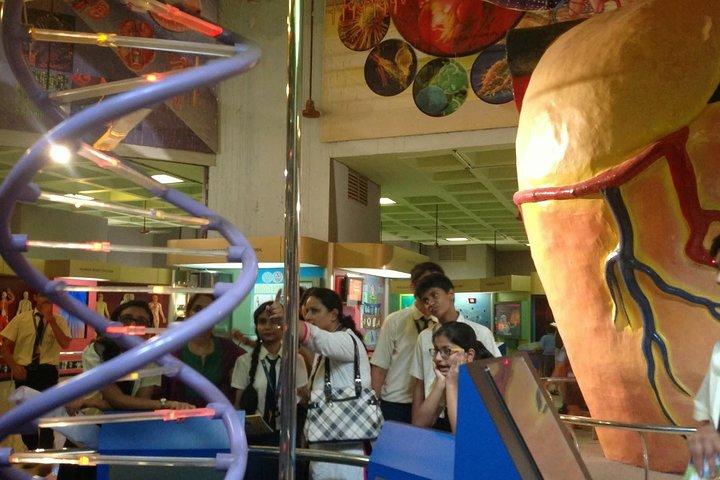 Tour por la ciudad de Mumbai para niños en vehículo privado
