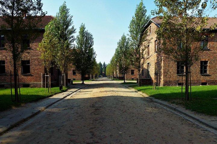 Cracovie à Auschwitz Birkenau Visite guidée avec transfert et billet