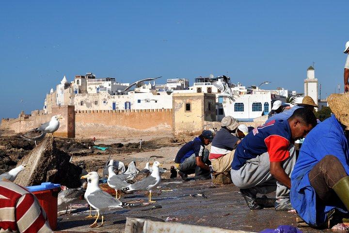 Essaouira Mogador Journey From Marrakech