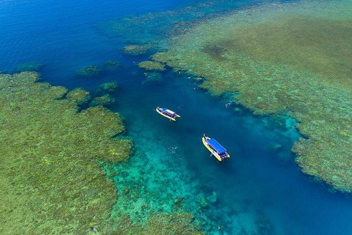 Fly-Raft-Paket: Whitehaven Beach, Schnorcheln und Rundflug