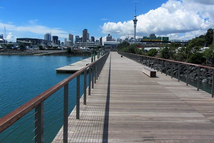 Auckland Tour- Half Day Must-See Sights