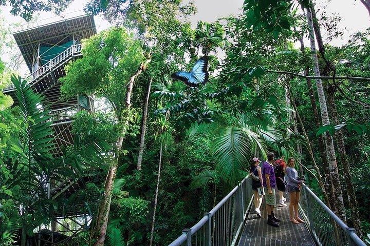Daintree Discovery Center Familienpass Ticket