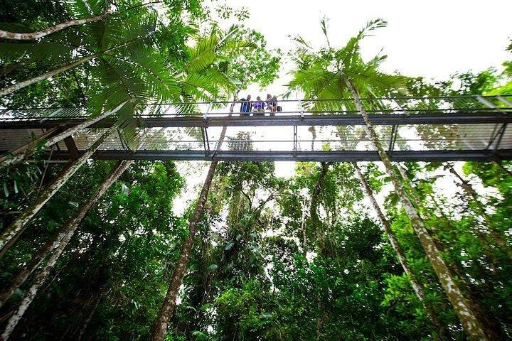 Daintree Discovery Center Familienpass Ticket