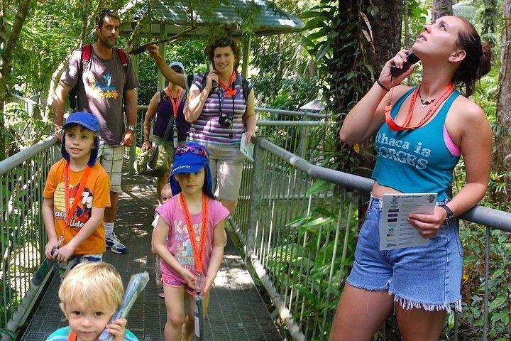 Ingresso para o Passe Familiar Daintree Discovery Center