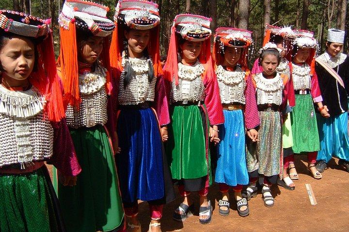 Da cidade de Chiang Rai: Hill Tribes & Golden Triangle