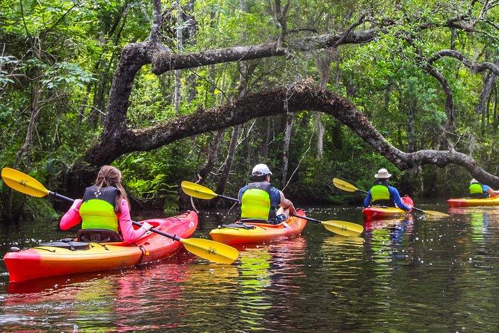 Visite guidée en kayak de l'île Amelia de Lofton Creek