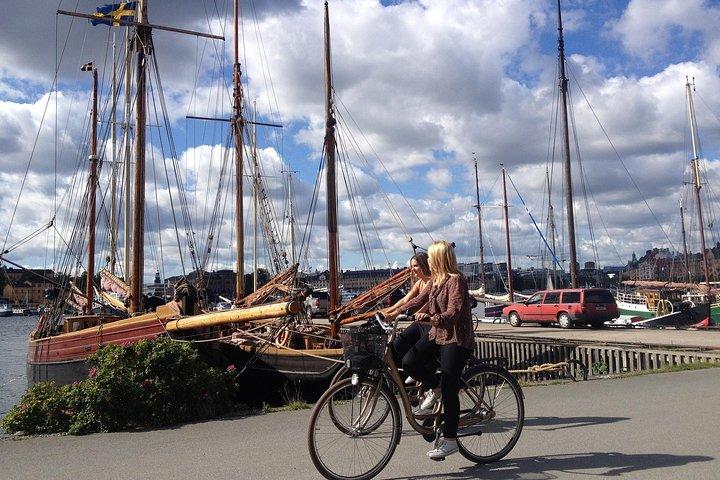 Excursion à terre à Stockholm avec un local: 100% personnalisé et privé