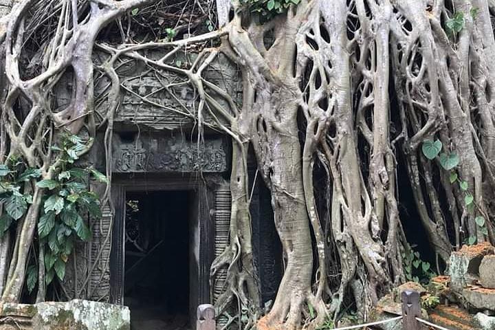 Tour privato in auto (complesso di Angkor Wat + alba)