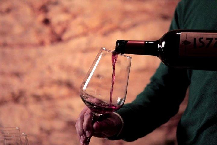 Visita guiada e degustação no La Cantina Frrud - Museu do Vinho