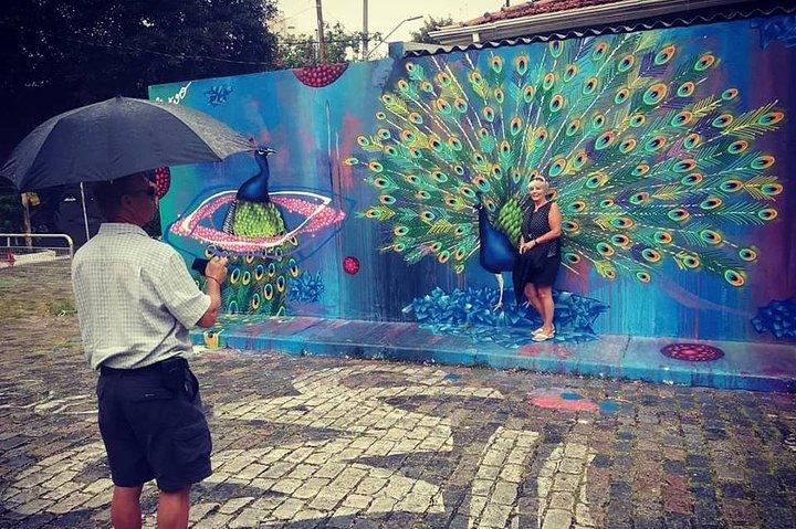 Privat Street Art-tur i São Paulo med Batmans Alley-besøg