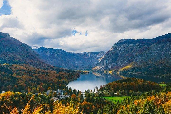 Tour privato di Bohinj e Vogel da Bled