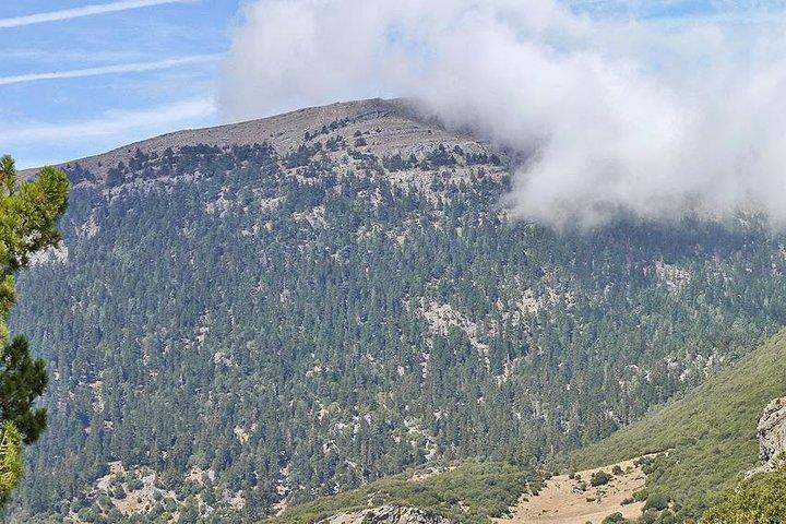 Heldagsudflugt til Lakraa-bjerget | Højest i Talassemtane Park (2159m)