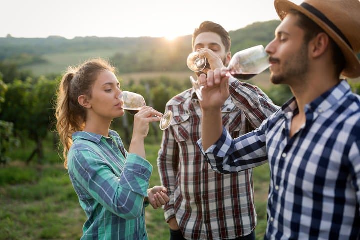 Private Tour: Pompeii & Wine Tasting at the Slopes of Mt Vesuvius