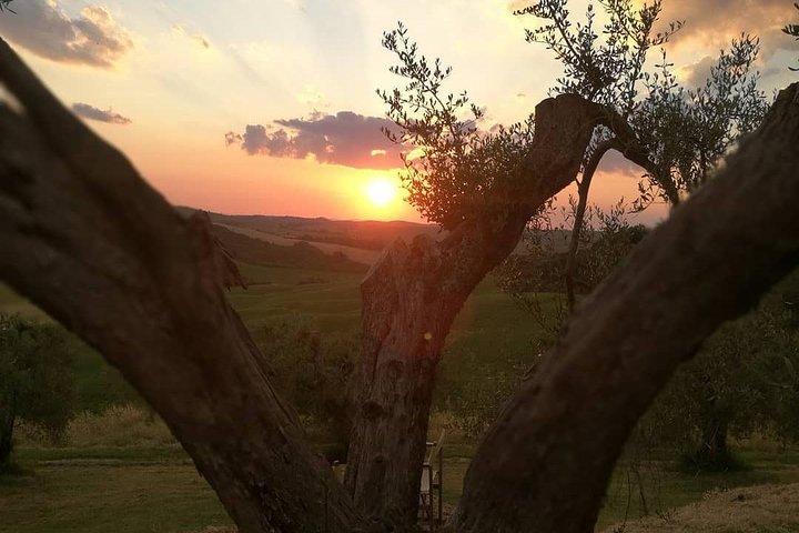 ブルネッロ ワイン ツアーとヴァル ドルチャの風景