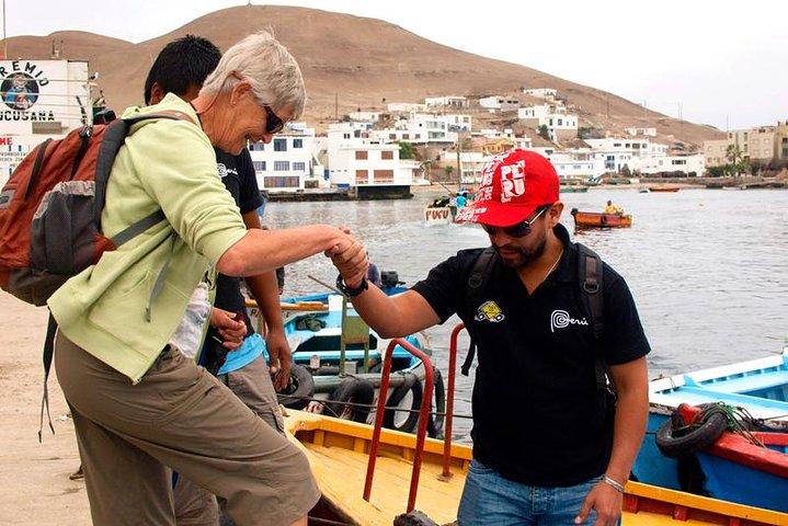 Marine wildlife observation in a fishing village