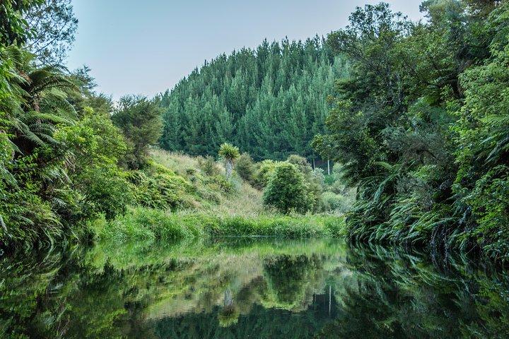 Twilight Glowworm Kayak Tour – Lago Karapiro