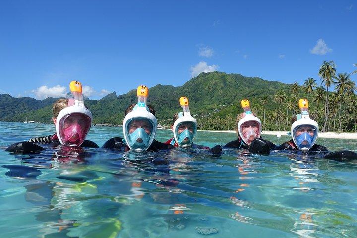 Snorkeling in scooter marino: squali, razze, tartarughe e coralli