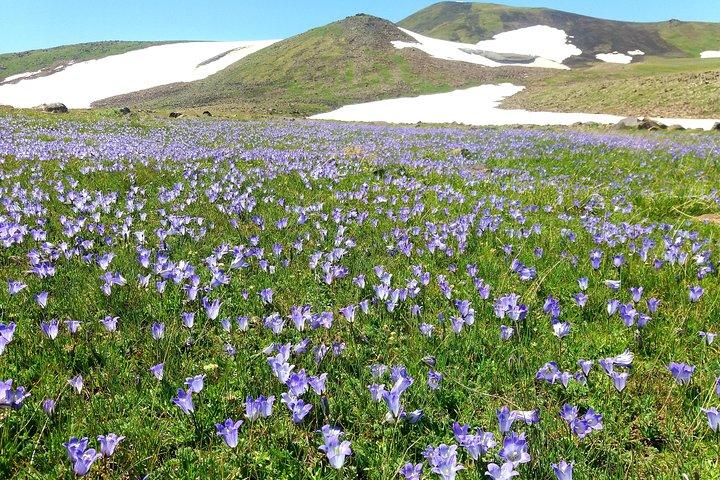 毎日の娯楽 - アズダハク山へのトレッキングツアー