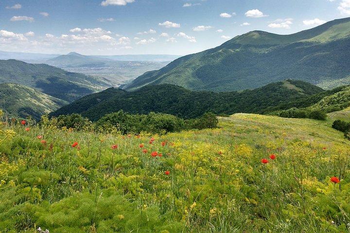BjniとTsaghkunyats Mountainへの毎日のジープツアー
