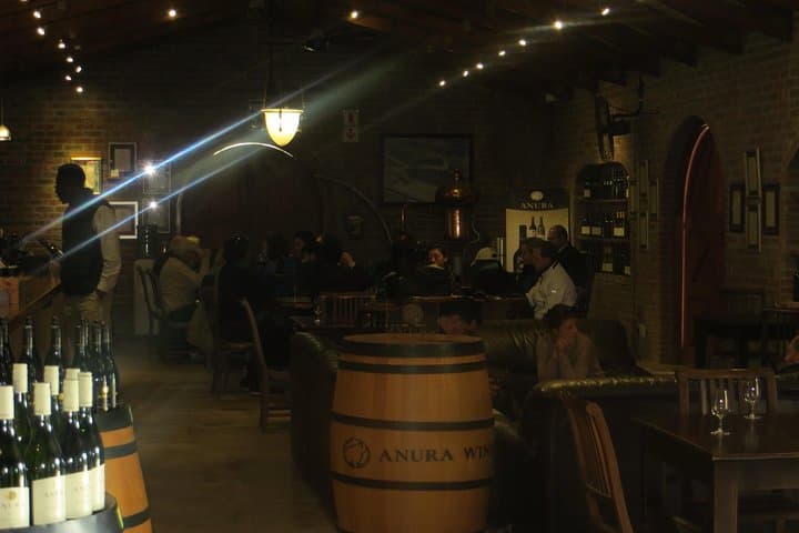 Cape Winelands - Stellenbosch, Franschoek & Paarl, small group tour